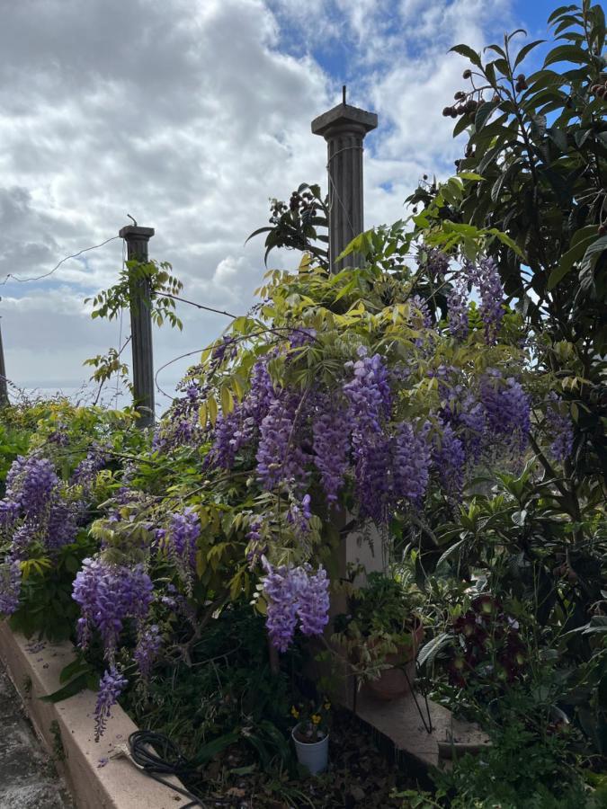 Hébergement de vacances Casa Ayane *